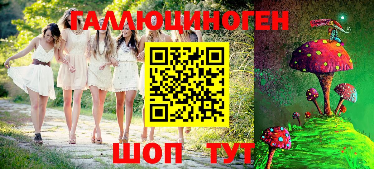 где можно купить наркотик  Псилоцибиновые грибы GOLDEN TEACHER  Вход с VPN  Мирный 